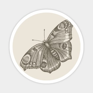 Dramabite Vintage butterfly illustration Magnet